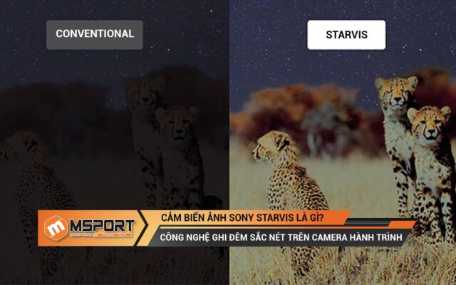 Cảm biến ảnh Sony Starvis là gì? Công nghệ ghi đêm sắc nét trên camera hành trình