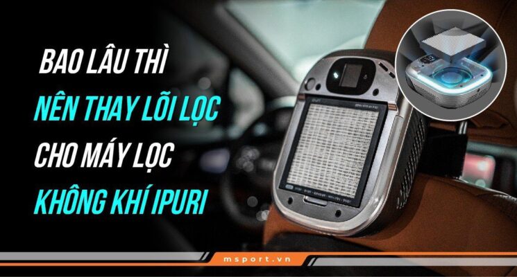 Bao lâu thì thay lõi lọc cho máy lọc không khí ipuri A1?