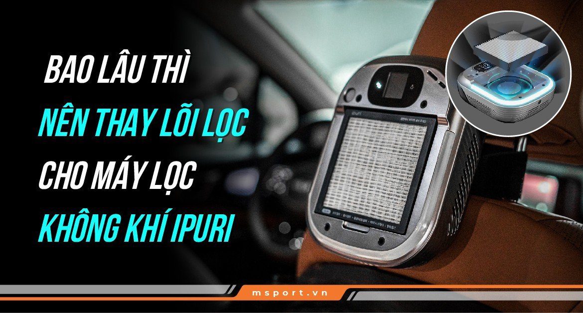 Bao lâu thì thay lõi lọc cho máy lọc không khí ipuri A1?