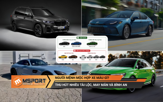 Người mệnh Mộc hợp xe màu gì mang lại may mắn & bình an? (chi tiết theo năm sinh)