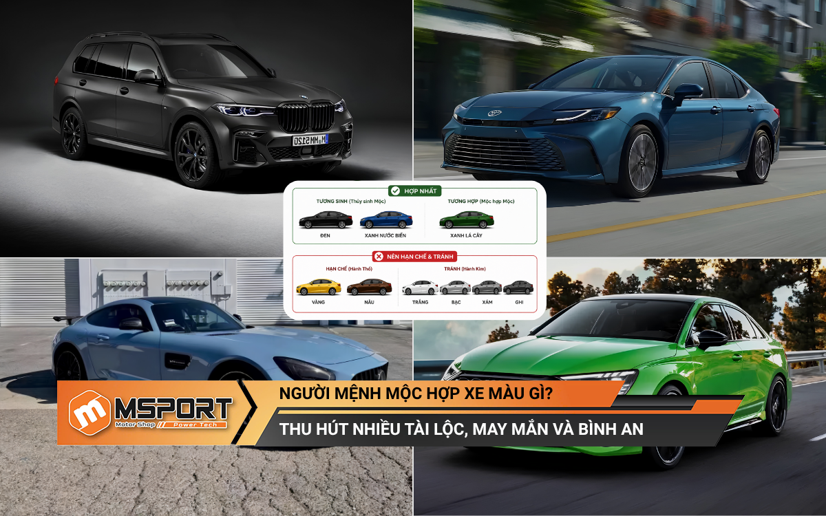 Người mệnh Mộc hợp xe màu gì mang lại may mắn & bình an? (chi tiết theo năm sinh)